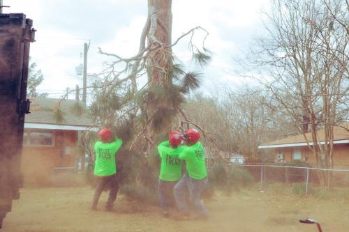 A Cajun Tree Cutters