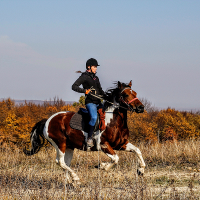 Horseback Riding