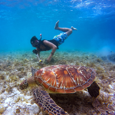 Snorkeling