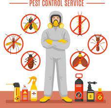 Eco friendly Pest Control Near Me