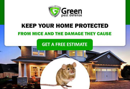 Green Pest Defense