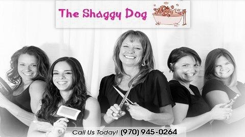 The Shaggy Dog