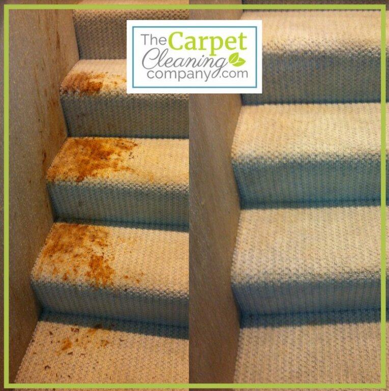 The Carpet Cleaning Company