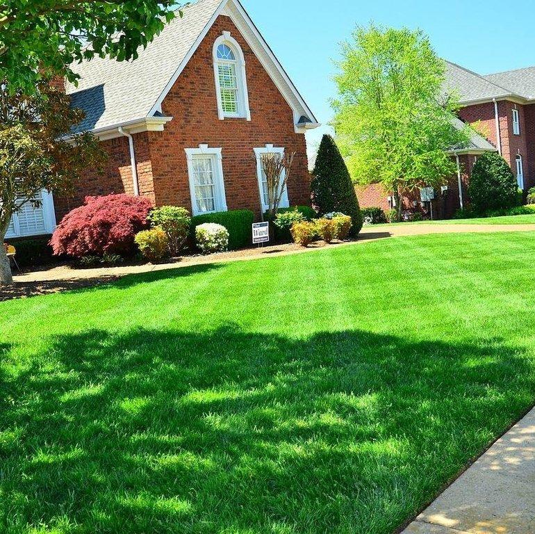 The Other Side Lawn & Landscape LLC