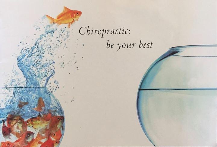 Dr Kori - Chiropractic