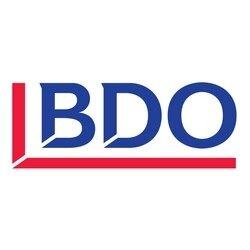 BDO Debt Solutions