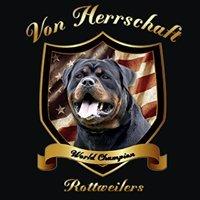 Von Herrschaft Rottweilers LLC