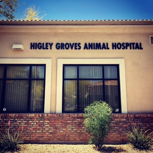 Higley Groves Animal Hospital