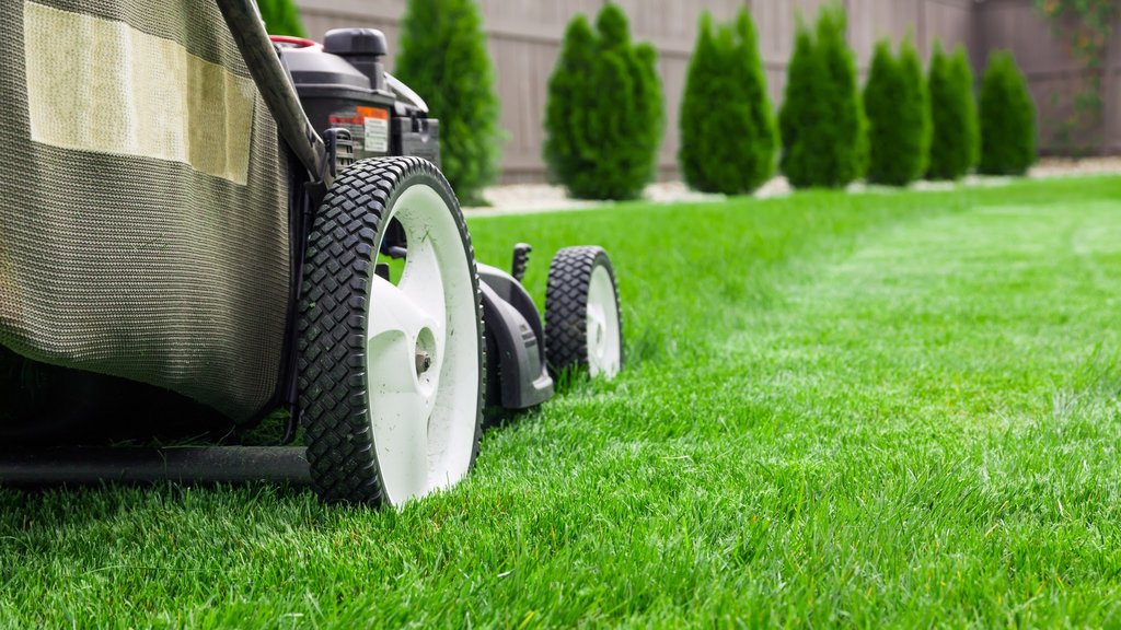 Green Envy Mowing