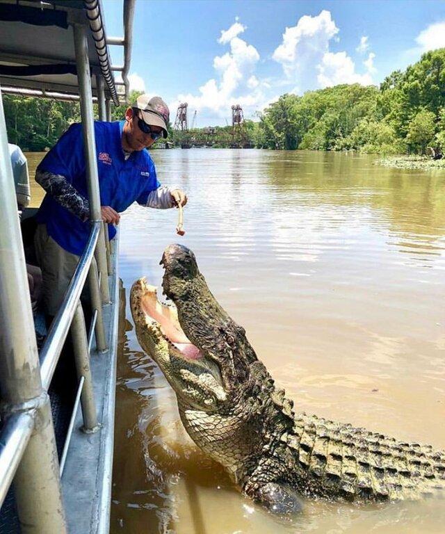 Cajun Encounters Tour Company