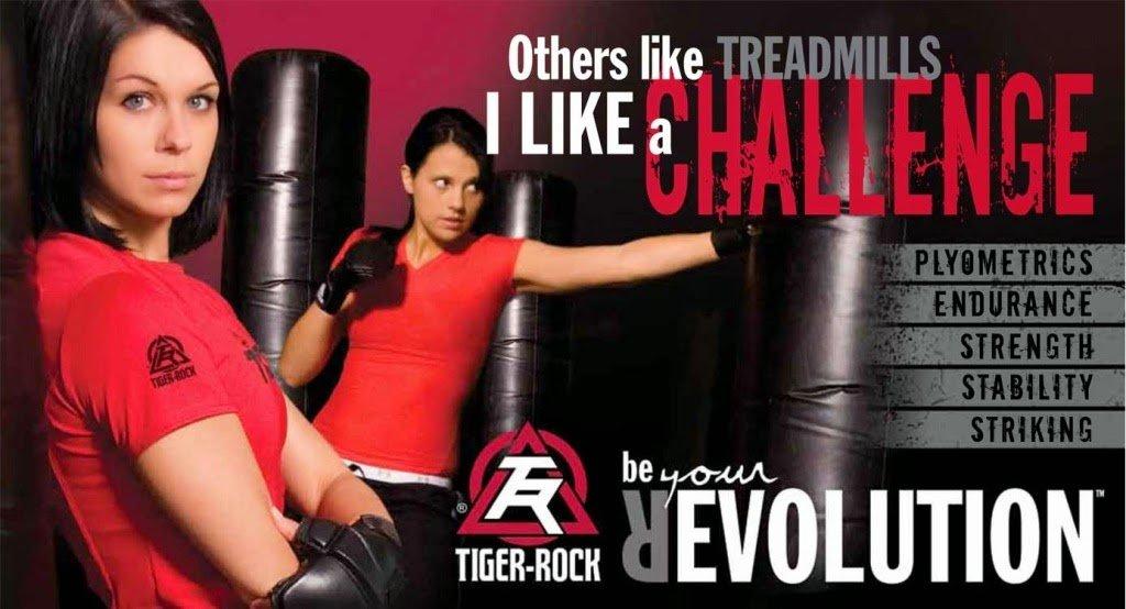 Tiger Rock Martial Arts of The Woodlands