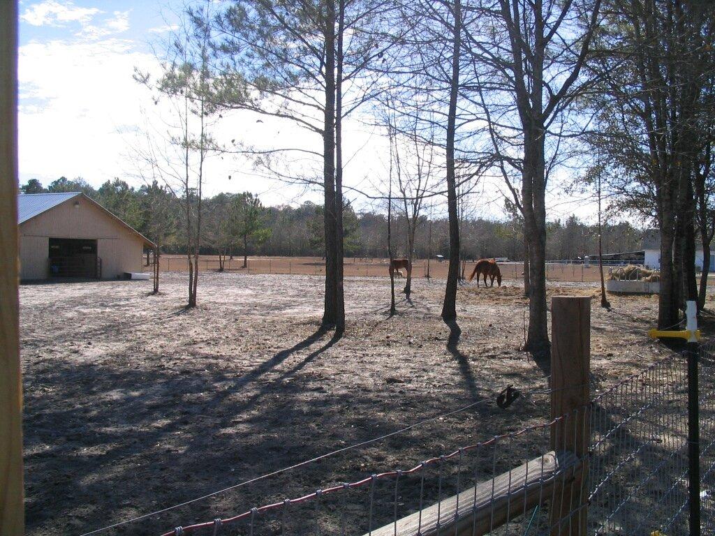 M & R Ranch-Performance Horses of Georgia