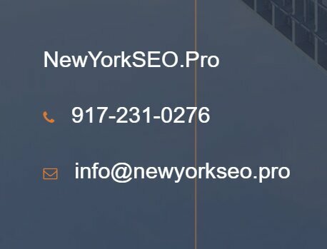 New York Seo Pro