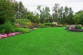 Lawncare Services of Richardson