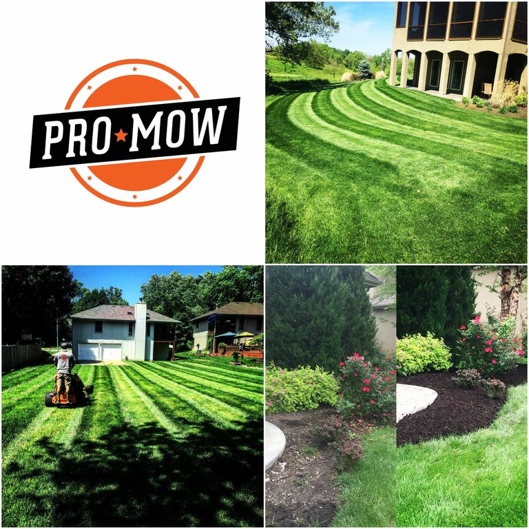 Pro Mow Lawn Care