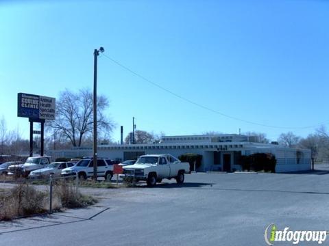 Albuquerque Equine Clinic