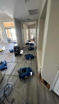 Green Guard Mold Remediation of Union