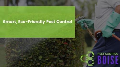 Pest Control Boise