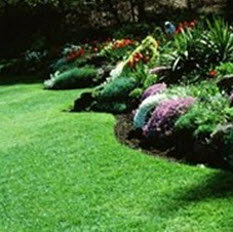 Green Valley Landscaping & Lawn Care