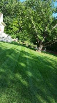 LawnCraft Landscape Co.