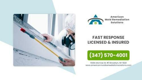 American Mold Remediation Solutions