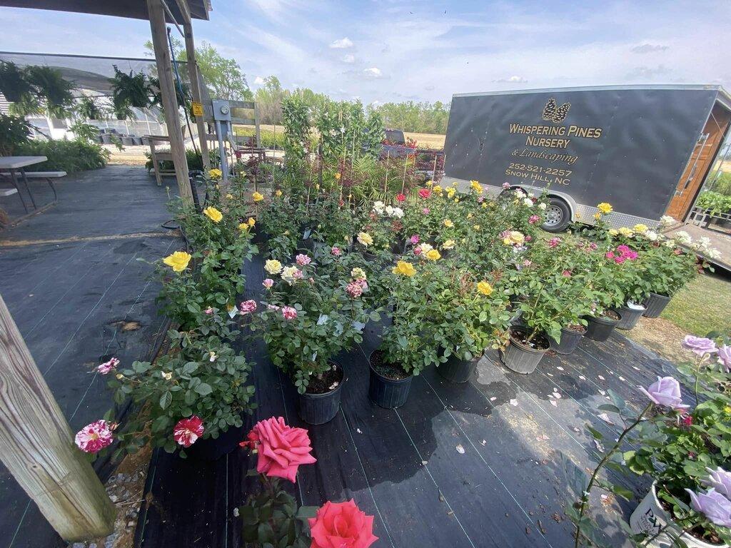 Whispering Pines Nursery and Landscaping