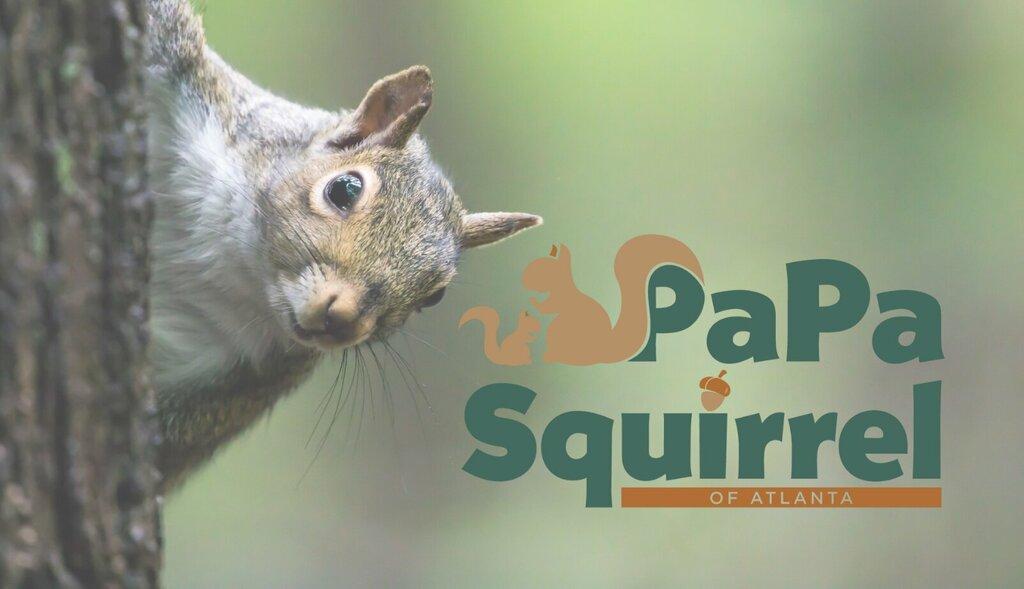 PaPa Squirrel of Atlanta