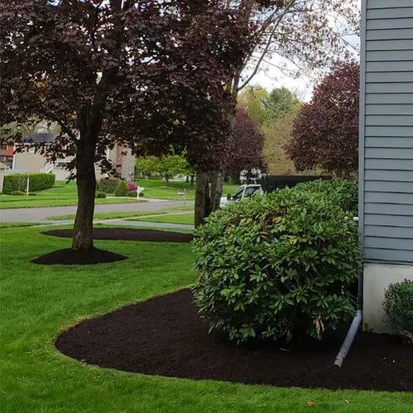 N & G Landscaping LLC