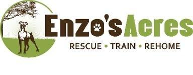 Enzos Dog Training