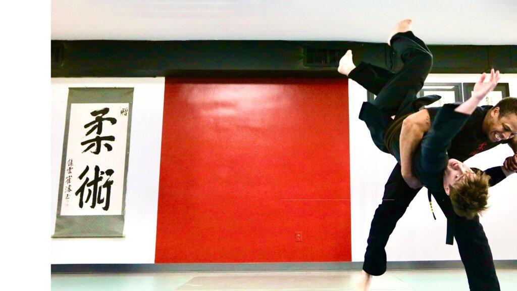 JTR Jujutsu International