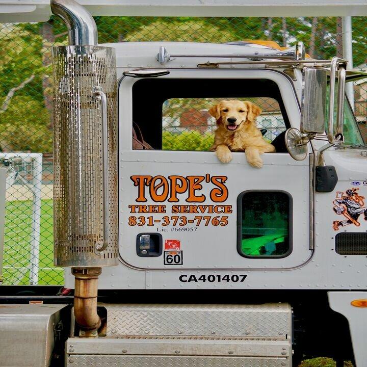 Tope's Tree Service