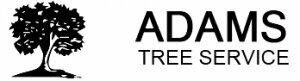 Adam's Trees Designs and Services