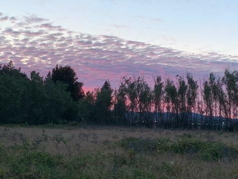 Boulder Ridge Land Clearing & Excavation