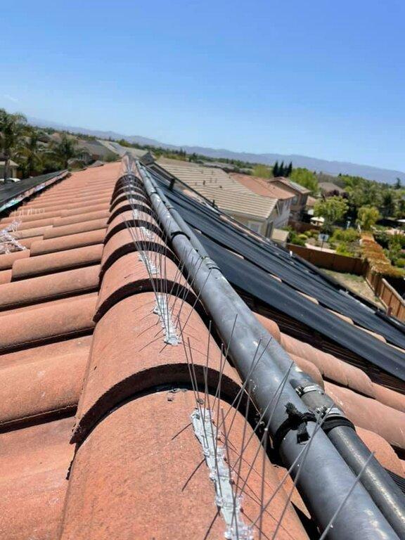 Top Elevation Roof Cleaning and Repair