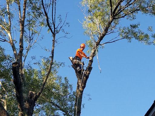 Good Guys Tree Service