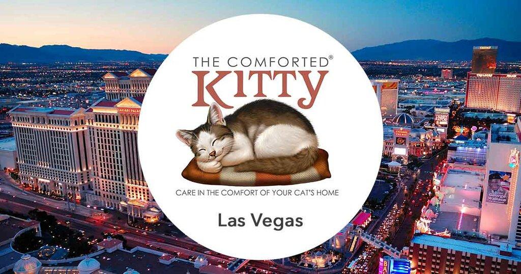 The Comforted Kitty-Las Vegas Area