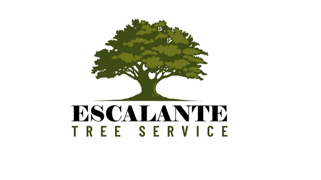 Escalante Tree Service