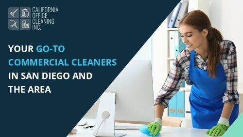 Pro Cleaning Services