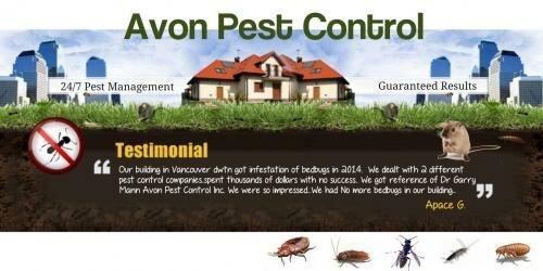 Avon Pest Control SURREY