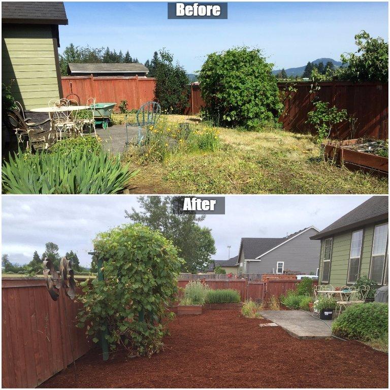 Hammer Landscape & Maintenance