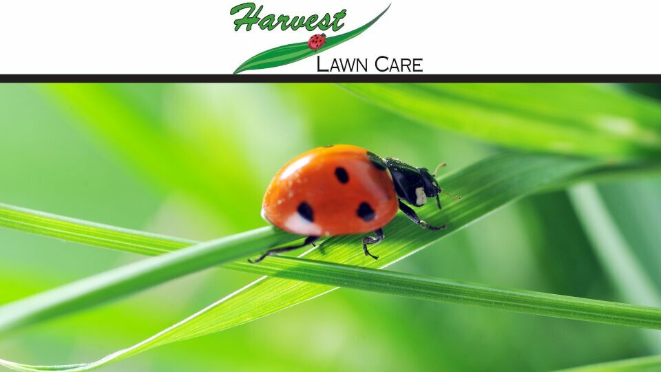 Harvest Lawn Care Inc.