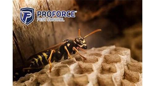 ProForce Pest Control