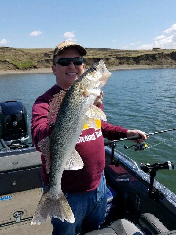 Oahe Wings & Walleyes