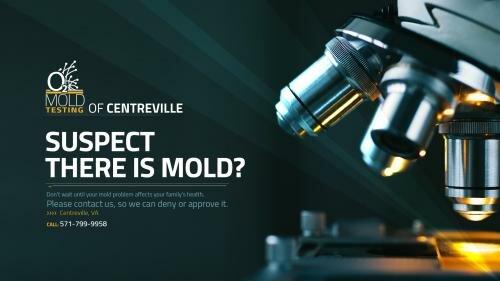 O2 Mold Testing of Centreville