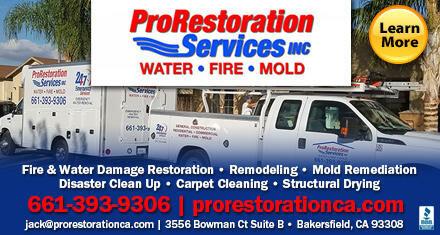 Prorestoration Services Inc