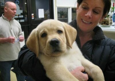 Beach Buddies Animal Hospital