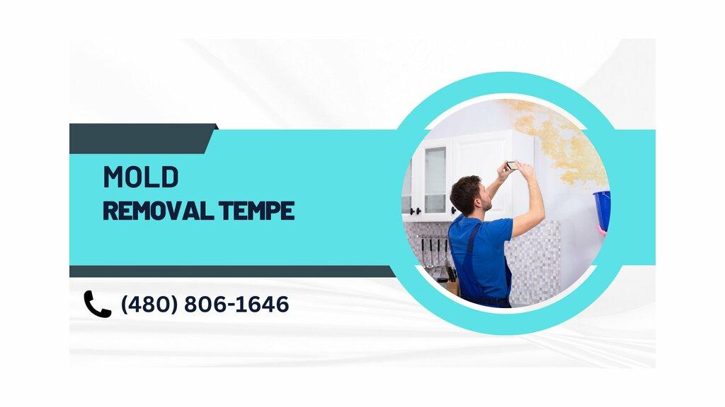 Mold Remediation Service Tempe