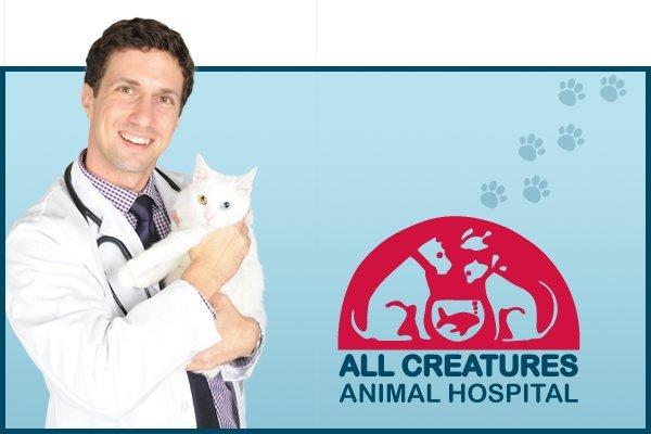 All Creatures Animal Hospital