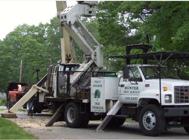 Hunter Tree Service