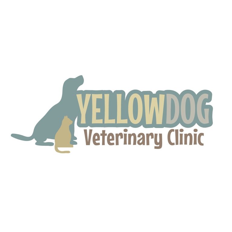 Yellow Dog Veterinary Clinic